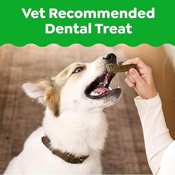 Greenies Veterinarian-Recommended Adult Natural Dental Dog Treats Regular Size, Original Flavor, 3 oz. Pack, 3 Count