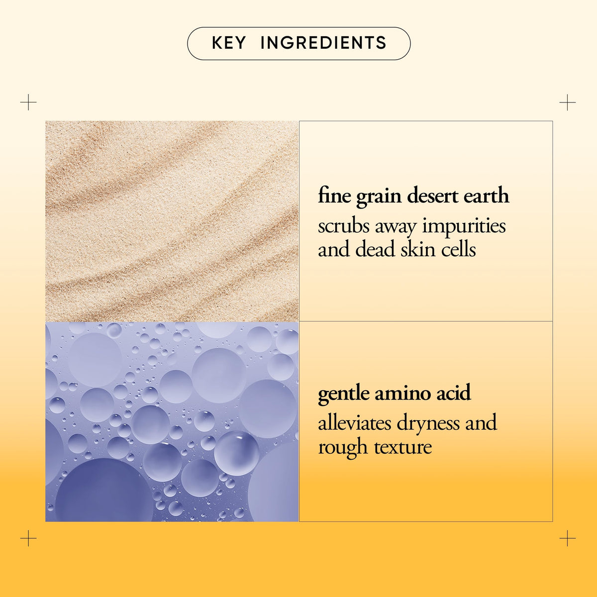 philosophy microdelivery exfoliating daily facial wash - with fine grain desert earth & gentle amino acids - scrubs away impurities & dead skin cells to alleviate dryness and rough texture