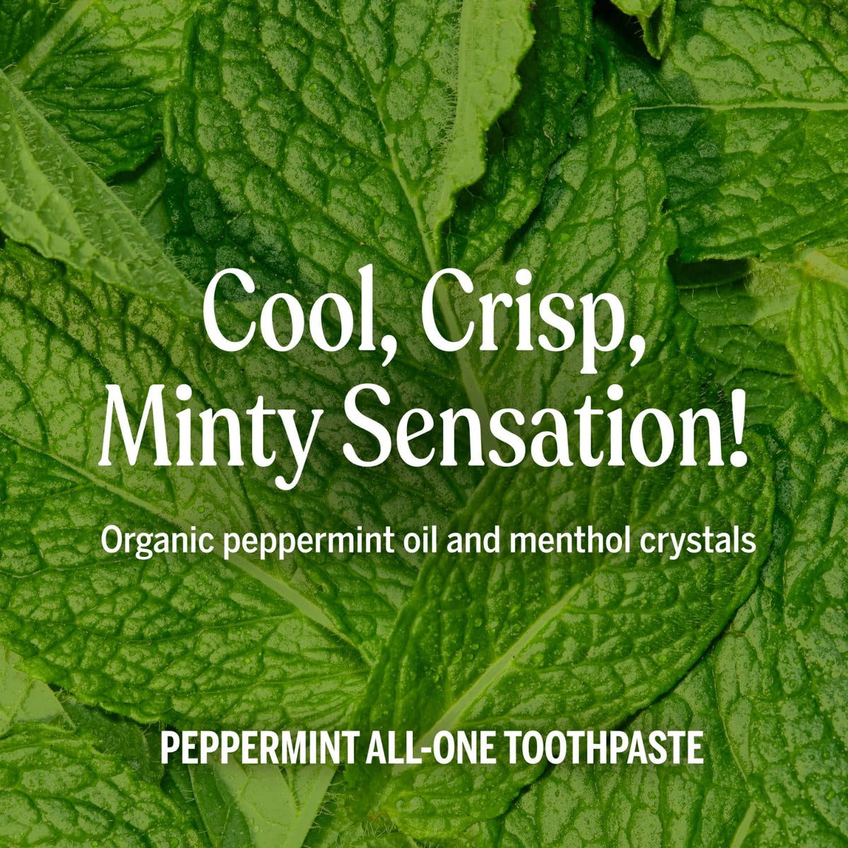 Dr. Bronner’s - All-One Toothpaste Variety Pack - Peppermint & Spearmint, 70% Organic Ingredients, Fluoride-Free, Helps Freshen Breath, Vegan (5oz, 4-Pack)