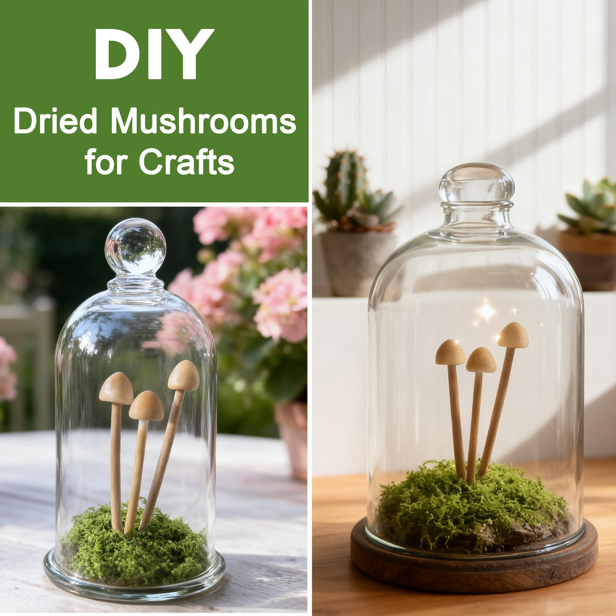 Mumutie 16-Pack Mini Mushrooms for Crafts - Terrarium Decor for DIY Miniature Landscapes & Garden Mushrooms - Desktop Ornaments & Christmas Decorations.