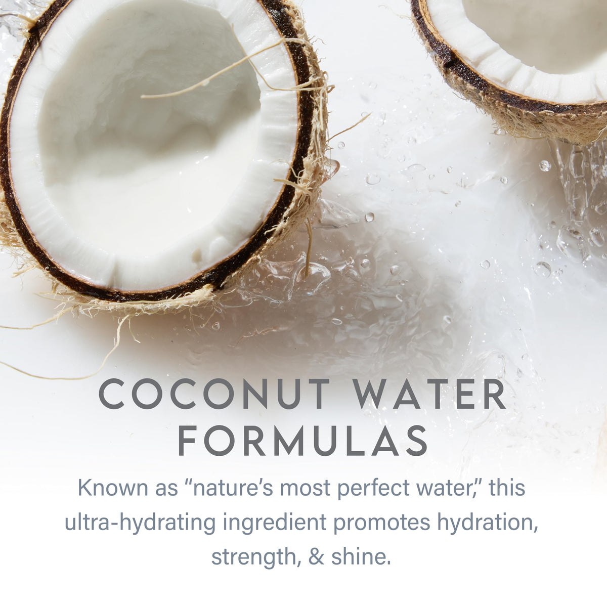 ALURAM Coconut Water Moisturizing Conditioner for Men and Women, Clean Hydration and Shine for Medium to Coarse Textured Hair, 12 Fl Oz