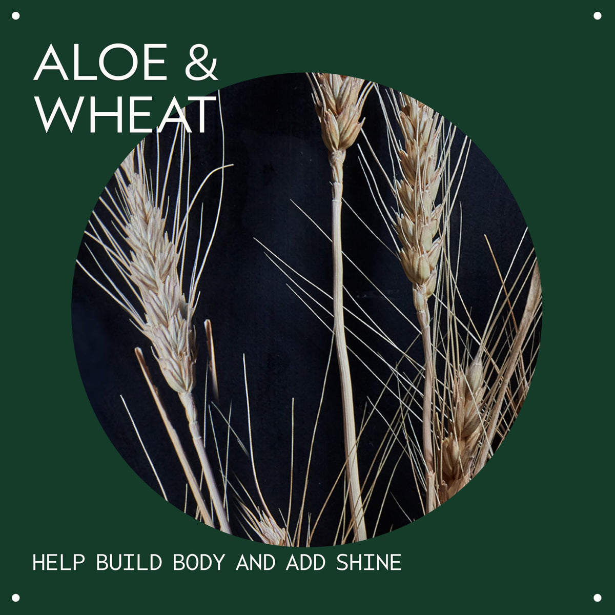 Aveda Volumizing Hair Tonic | Volume Spray for Fine and Medium Hair Types | Build Body + Shine | With Wheat Amino Acids and Certified Organic Aloe | 92% Naturally Derived*, 3.4 Fl Oz