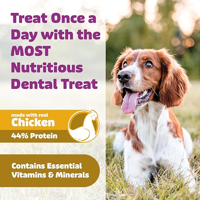 Yummy Combs Dog Dental Treats – Vet VOHC Approved, Removes Tartar & Cleans Teeth – Yummy High Protein Chicken Treat for Large Dogs (Mini Pack, 6 Count)