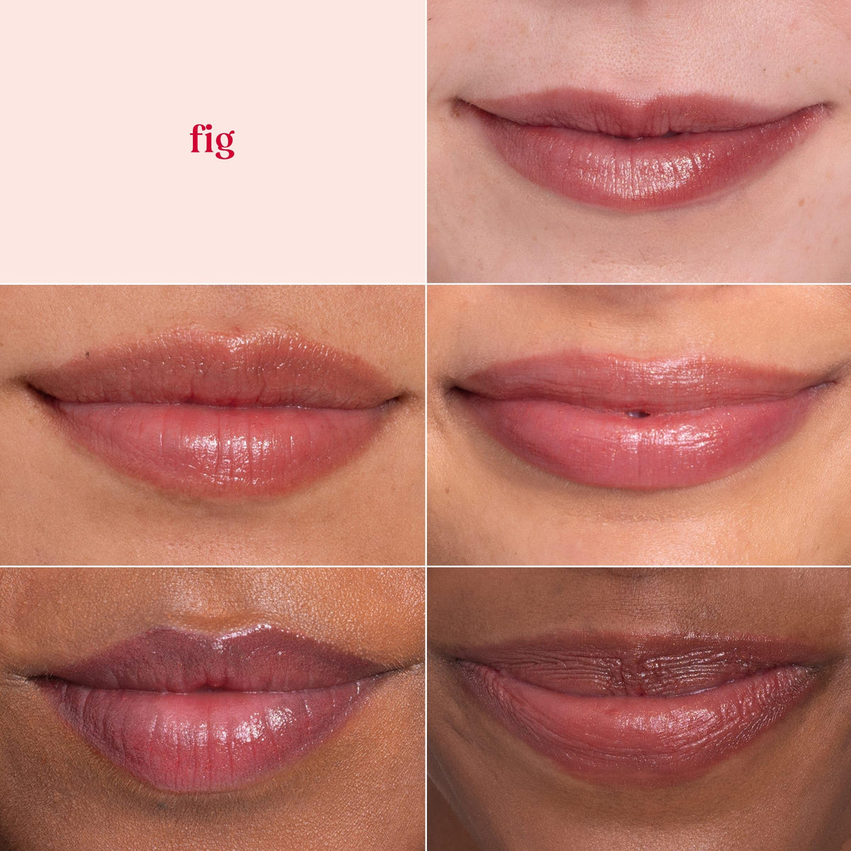 Burt's Bees Shimmer Lip Tint Set, Mothers Day Gifts, Tinted Lip Balm Stick, Moisturizing for All Day Hydration with Natural Origin Glowy Pigmented Finish & Buildable Color, Fig (4-Pack)