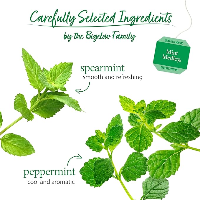 Bigelow Tea Mint Medley Herbal Tea, Caffeine Free Mint Tea with Spearmint and Peppermint, 20 Count Box (Pack of 6), 120 Total Tea Bags