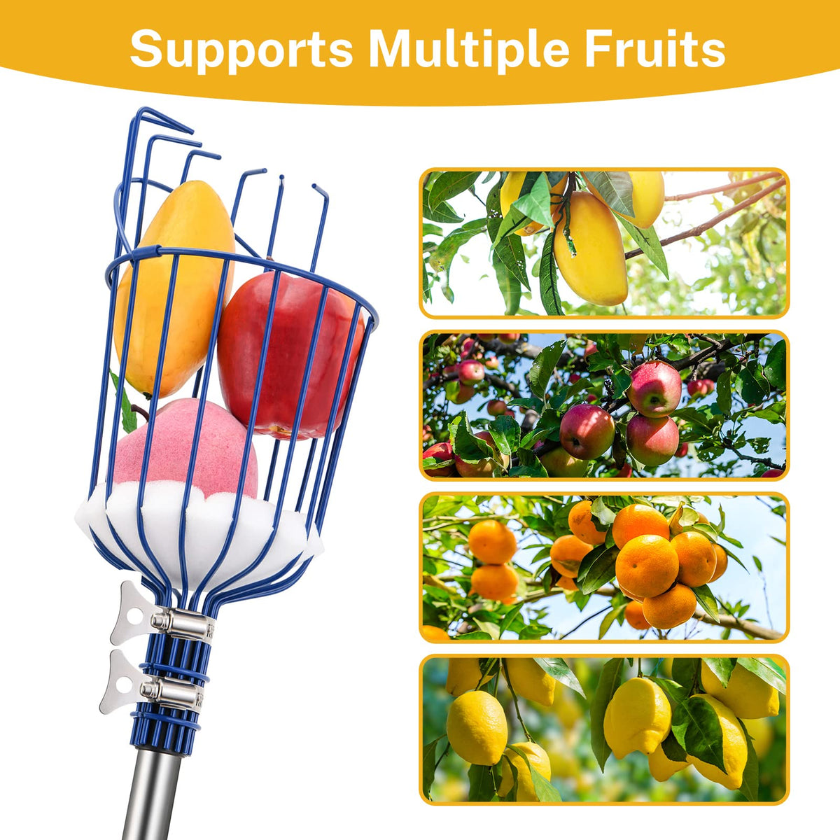 Oak Leaf Fruit Picker, 13 FT Picker Pole with Basket, Length Adjustable Apple Orange Picker Tool Tree Fruit Catcher with Lightweight Stainless Steel Connecting Pole, Foam Pad, 2 Metal Clamp(Upgraded)