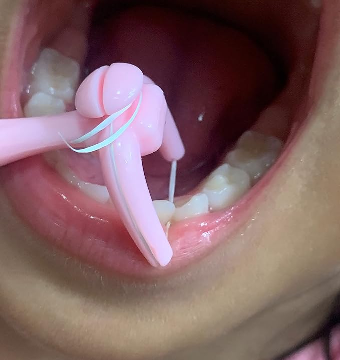 Design Colorful Floss Holder Reusable Dental Floss Handle Adults and Kids NO-Waste Floss Picksfloas Holder Flosser (PinkBlueGreenYellowPurpleLightpink)