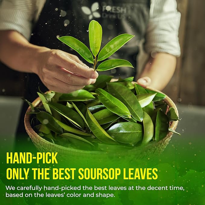 FreshDrinkUS, Premium 30+ Soursop Graviola Dried Leaves, Natural Whole Soursop Leaves, Wildcrafted, Hoja Guanabana, Loose Leaf Herbal Tea, No Gluten, Vegan