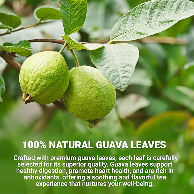 LeafLea Guava Leaf Tea, 80 Fresh-Sealed Tea Bags, Herbal Tea Made from Natural Guava Leaves (Hojas de Guayaba), Digestive Support & Immune Balance, Caffeine-Free, Sugar-Free, Pack of 2