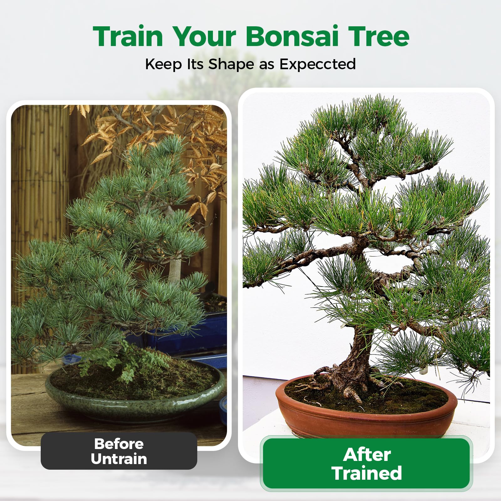 Bonsai Wire Kit with Cutter, Anodized Aluminum-189FT 7 Rolls 5 Sizes 1-3mm