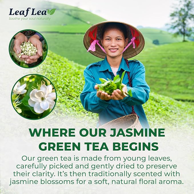LeafLea 40 Jasmine Green Tea Bags, Premium Green Tea Scented with Jasmine Flowers for Gentle Support & Light Alertness, Floral Smoothness, Caffeinated, Sugar-Free, Non-GMO, Vegan, Individually Wrapped