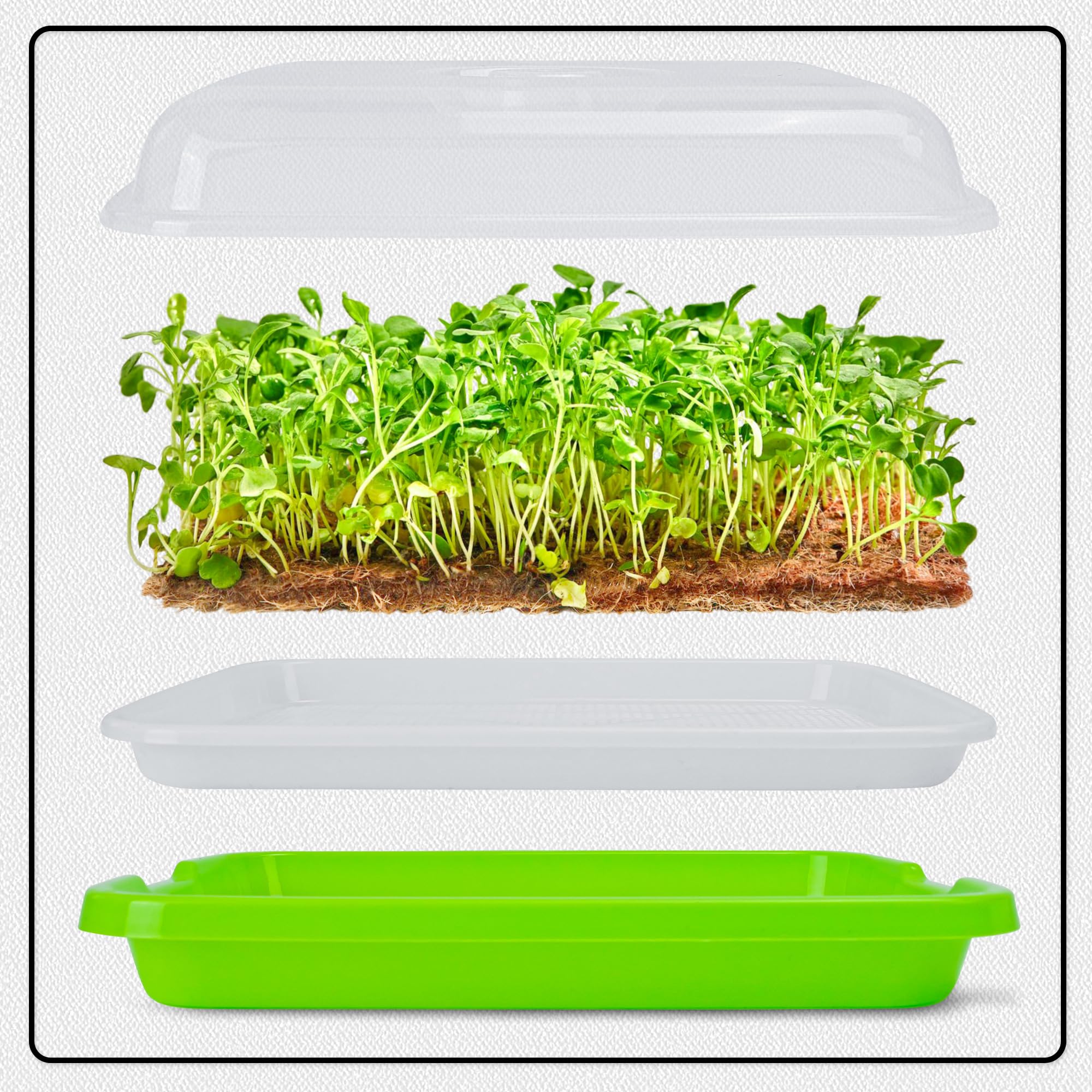 Microgreens Growing Trays with Lids and Coconut Fiber Mat,Seed Sprouter Tray with Drain Holes,Seed Starter Tray Reusable,Microgreens Growing Trays,Cat Grass Growing Kit for Indoor Cats (Pack 3)