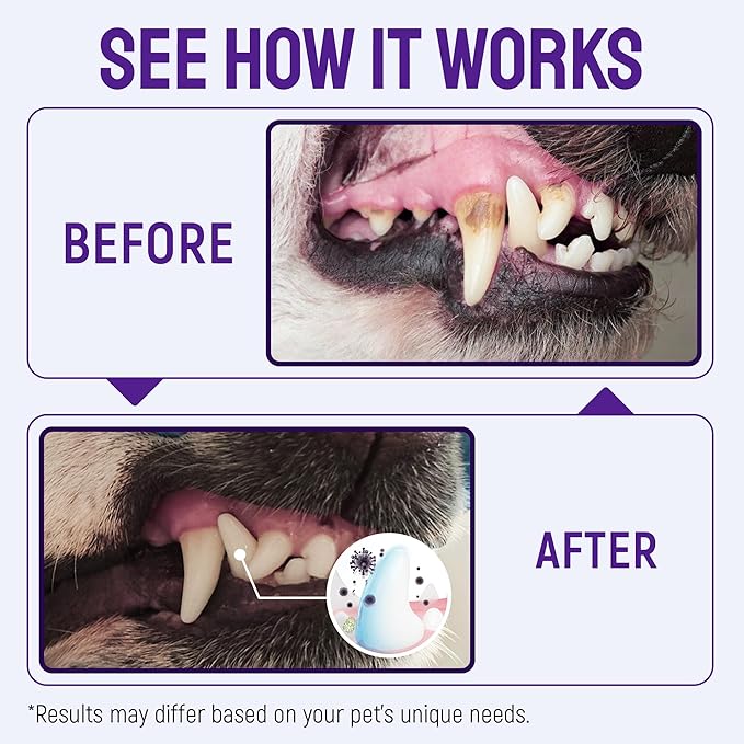 SILVER GRADE Teeth & Gum Dog Breath Spray for Pets Mouth – Cat Dental Care with Silver – Dog Breath Freshener Helps with Tartar & Caries – Plaque Remover for Daily Use – 4 Oz