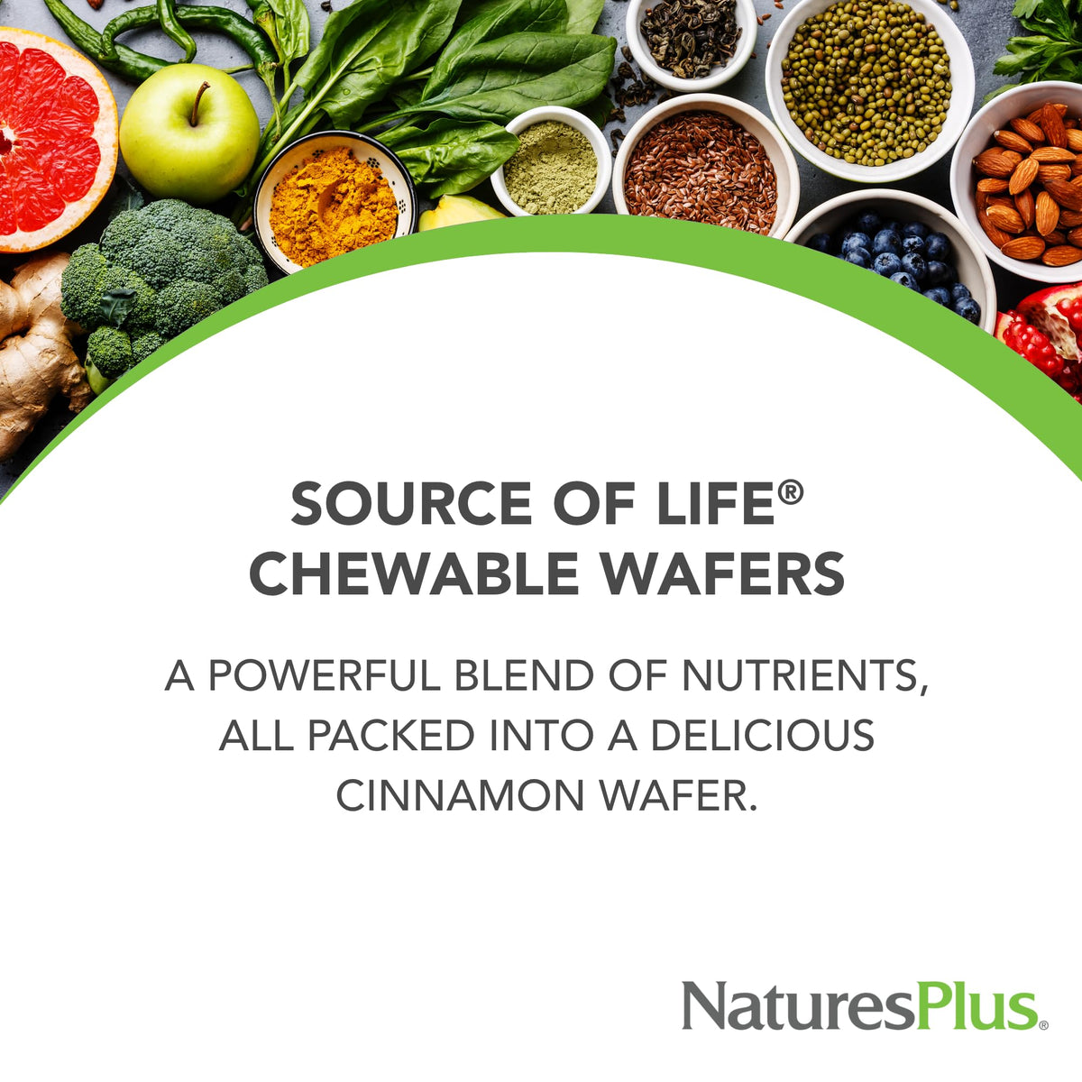 NaturesPlus Source of Life Adult’s Chewable, Apple Cinnamon - 90 Wafers, 2 Pack - Multivitamin & Mineral Supplement - Immune & Digestive Support with Vitamin D3 - Vegetarian - 90 Total Servings