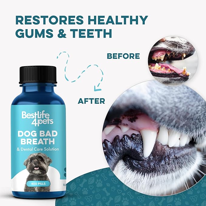 Dog Dental Care & Bad Breath Remedy, Natural Dog Oral Care for Healthy Teeth, Mouth & Gums, Daily Canine Breath Freshener, Plaque, Tartar Control Helps Reduce Gingivitis, Easy To Use 800 Tiny Pills