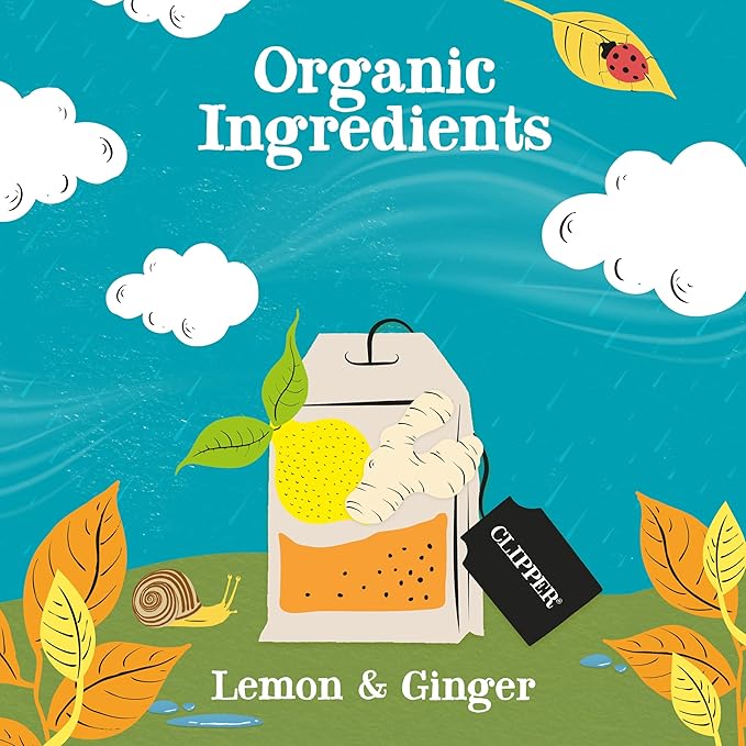 Clipper Tea Lemon & Ginger Teabags – Caffeine Free, USDA Organic, Great Hot or Iced – Aromatic, Natural, Fair & Delicious – 200 Tea Bags