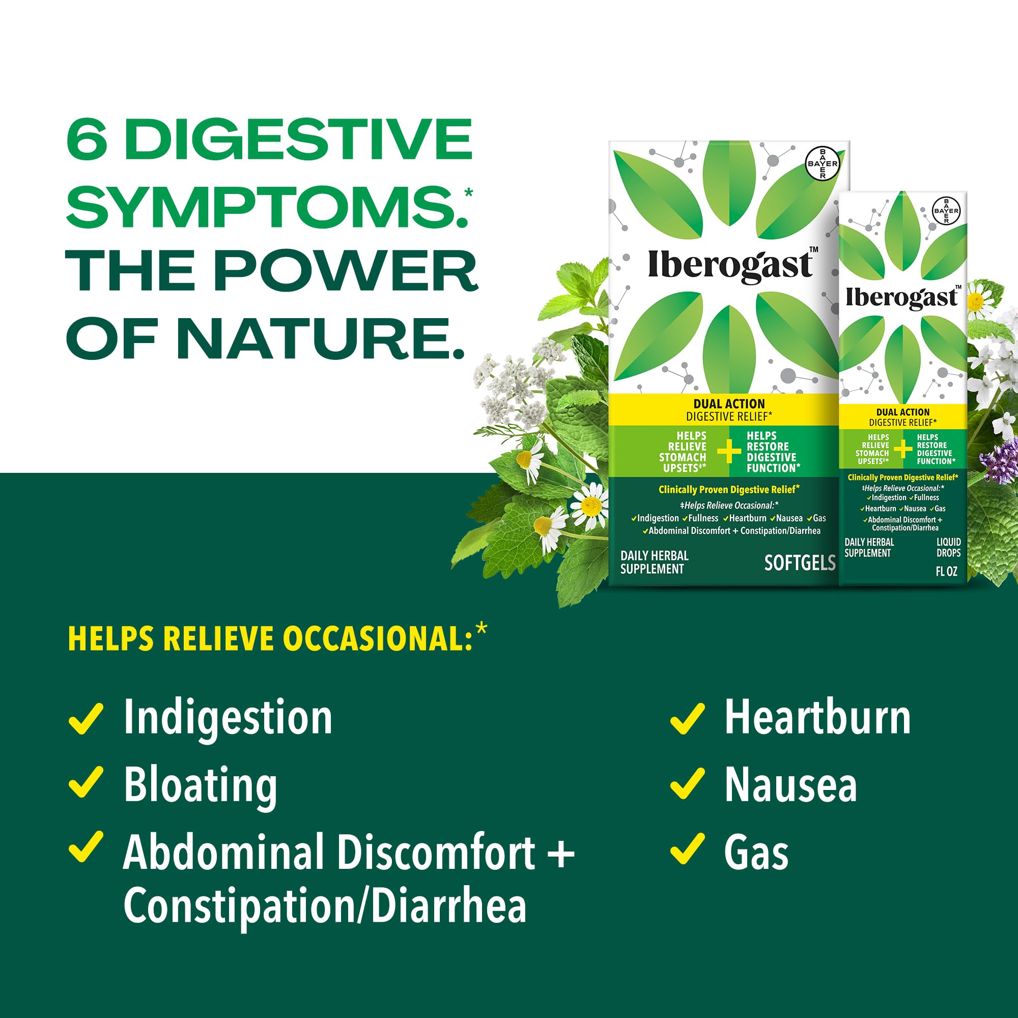 Iberogast Liquid Drops, Herbal Relief of Stomach Upsets: Occasional Indigestion, Bloating, Gas, Nausea, Upset Stomach; Gluten Free; 6-Herb Blend with Iberis Amara, Peppermint, Licorice; 50mL