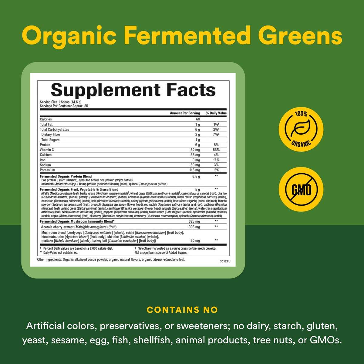 Whole Earth & Sea from Natural Factors, Organic Fermented Greens, Vegan Whole Food Supplement, Chocolate, 15.5 Oz