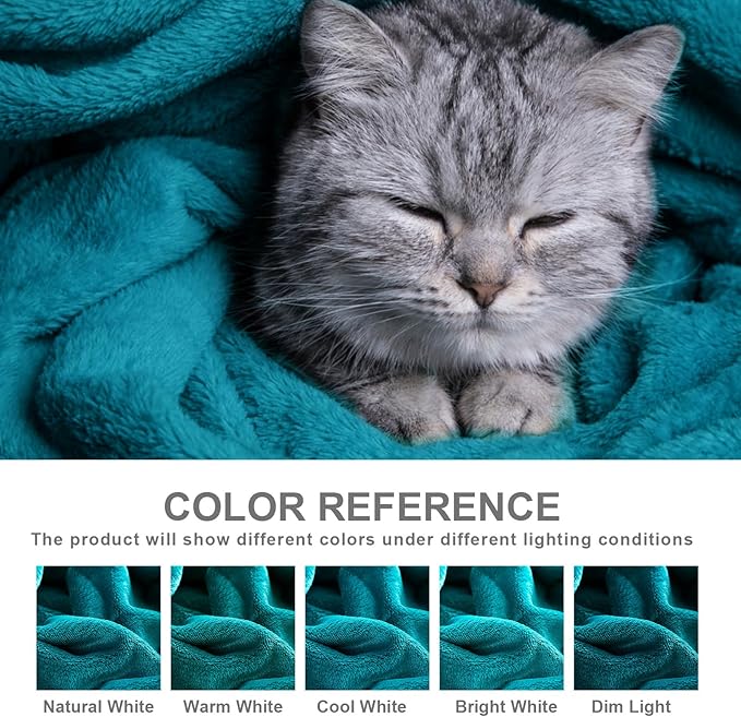 Hansleep Fleece Queen Blanket for Bed Fleece Teal, Queen Size Super Soft Flannel Fuzzy Plush Cozy Blanket for All Seasons, Teal, Queen 90x90 Inches