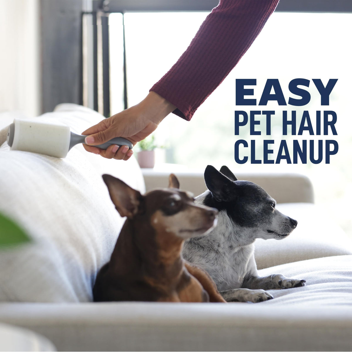 Scotch-Brite Everyday Clean Lint Roller, Lint Remover for Pet Hair, Dark Clothes, Furniture, and Dusty Surfaces, Picks Up Fur & Fluff in Your Home, Car, & Office, 10 Pack, 950 Adhesive Sheets Total