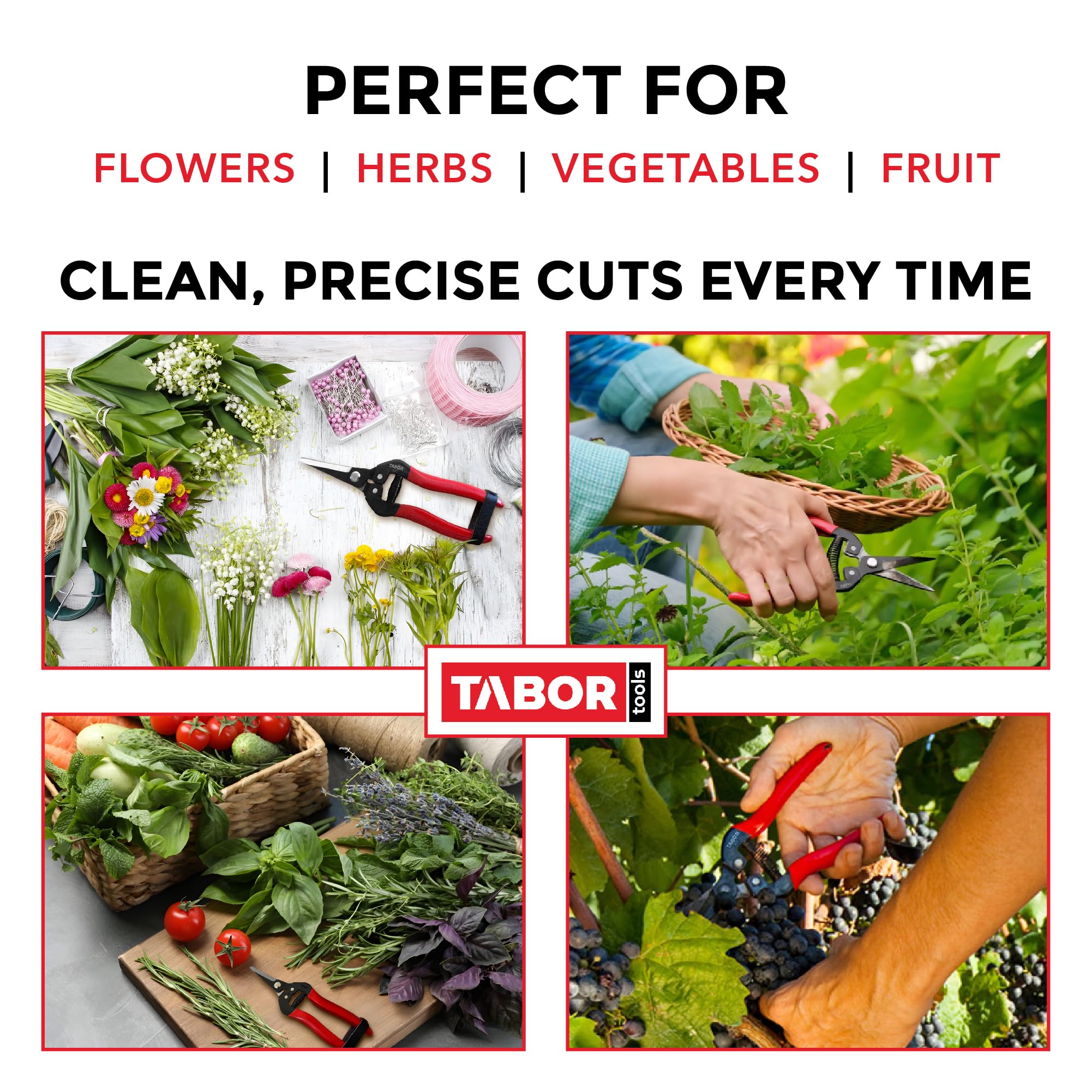 TABOR TOOLS K7A Pruning Snips – 7,5" – Carbon Steel Flower Pruning Scissors for Gardening | Floral Snips and Pruners for Deadheading, Trimming & Harvesting Herbs, Flowers, Fruits or Vegetables
