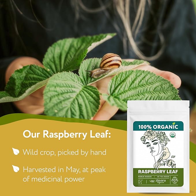 Organic Raspberry Leaf Tea (40 Tea Bags) - Red Rasberry Leaf TeaBags - Period Tea for Womens Cramps, Hormone Balance, Fertility – Te de Hoja de Frambuesa Roja