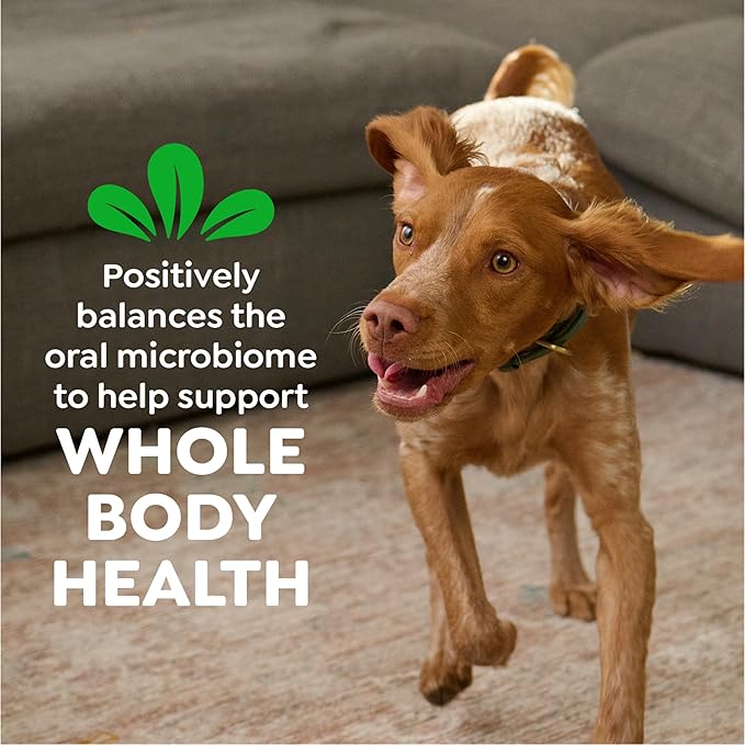 Greenies Veterinarian-Recommended Adult Natural Dental Dog Treats Regular Size, Original Flavor, 3 oz. Pack, 3 Count