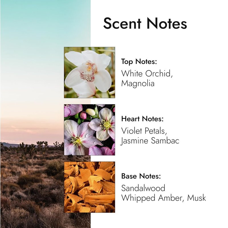 Modern Memory Mojave Flower Eau de Parfum for Women, 2.5 fl oz - Notes of Magnolia, Sandalwood & Musk