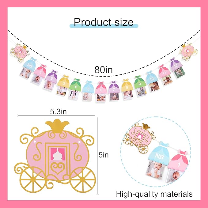 Princess 12 Month Photo Banner - Princess Birthday Party Decorations,Gril First/1st Party Bunting,Photo Prop Banner (Princess-2)