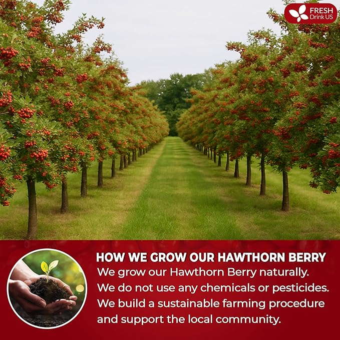 FreshDrinkUS, 16oz Premium Dried Hawthorn Berries – All-Natural, Non-GMO, Perfect for Tea, Smoothies, Baking & Snacking – Healthy, Versatile Superfood