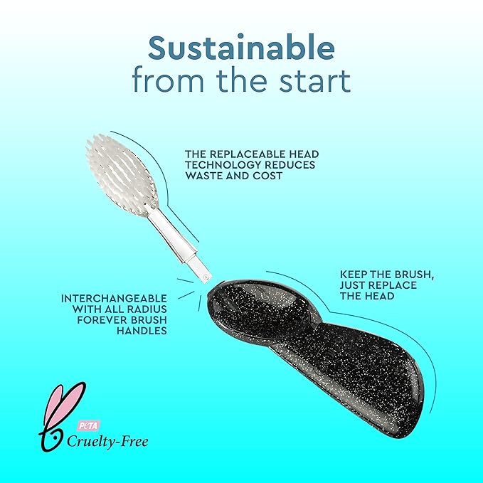 RADIUS Big Brush with Replaceable Head BPA Free & ADA Accepted Toothbrush Designed to Improve Gum Health & Reduce Gum Issues - Left Hand - Assorted - Pack of 6