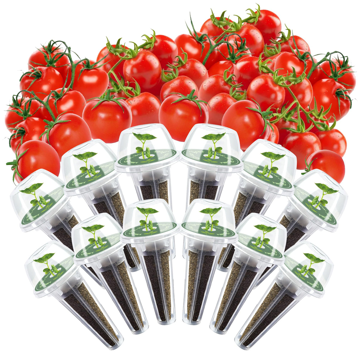 Cherry Tomato Seed Pods Kit for Hydroponics, 12 Pods Grow Anything Kit for Indoor Hydroponics Growing System, Hydroponics Supplies with 12 Grow Sponges, 12 Plant Baskets, 12 Pod Domes and Labels