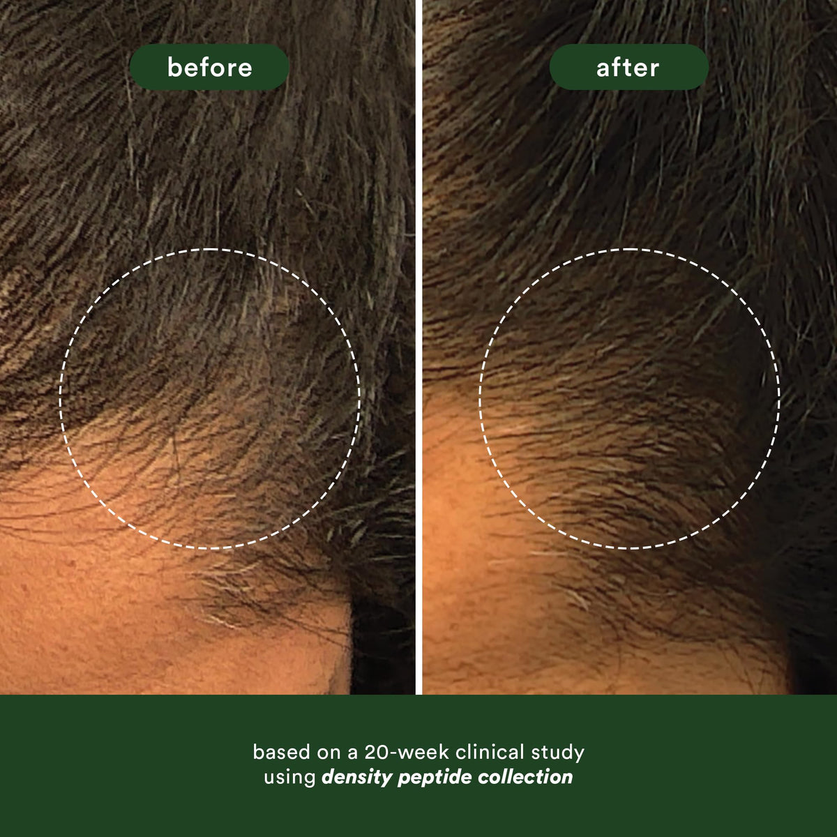 VERB Density Peptide Shampoo 12 fl oz - Visibly Thicken + Reduce Signs of Shedding- No Parabens or Harmful Sulfates