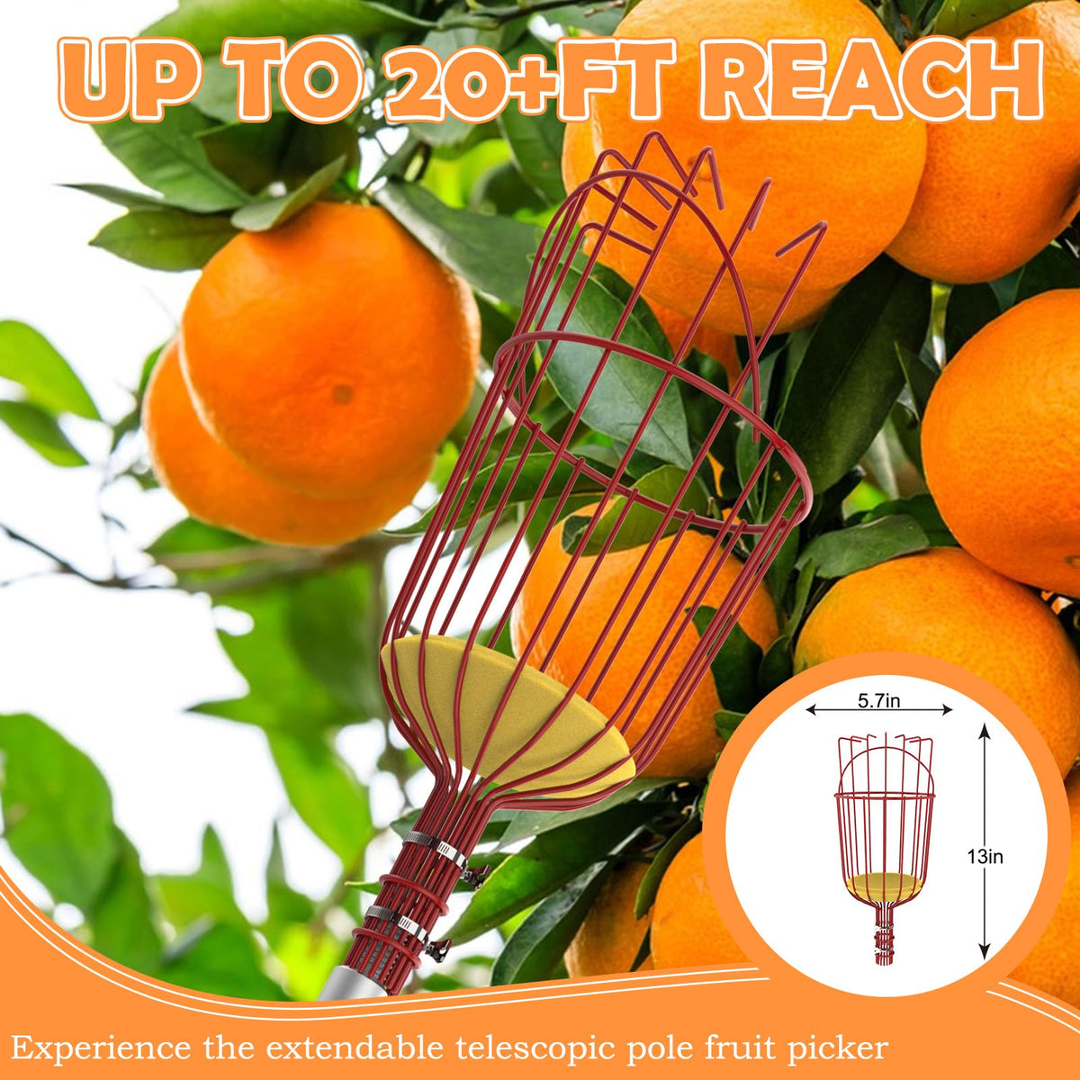 SISIUPASSIE 26FT Reach Fruit Picker, Apple Picker Pole with Basket Telescoping Tool for Apple Lemon Orange Mango Avocado Fruit Tree Picking