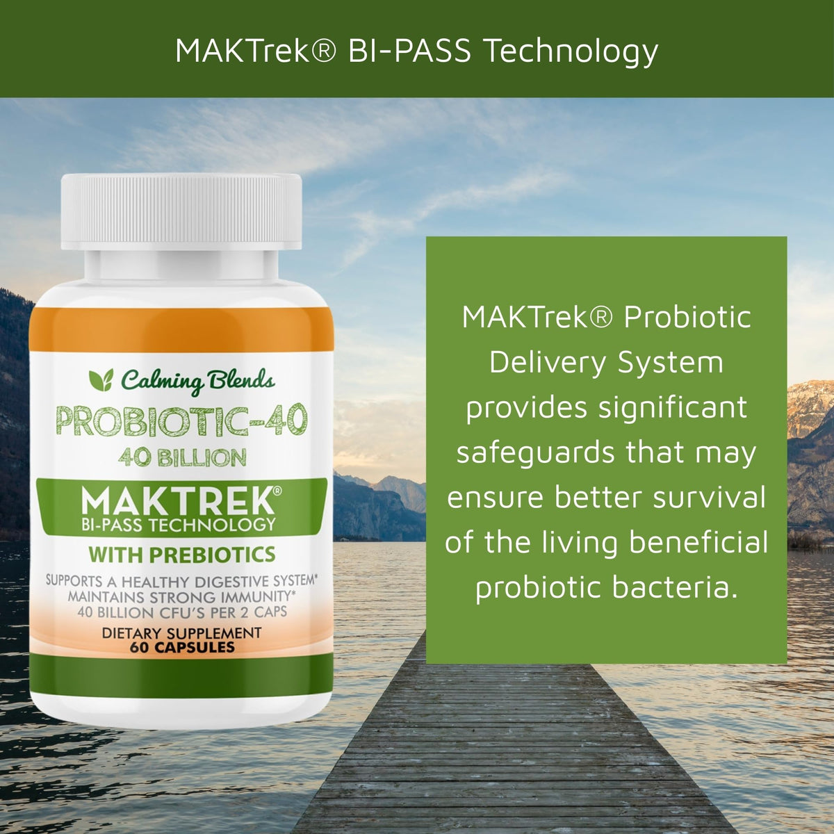 CALMING BLENDS Probiotic, 40 Billion CFU, Bi-Pass Delivery System for Maximum Effectiveness, Shelf Stable, 60 Vegetable Capsules