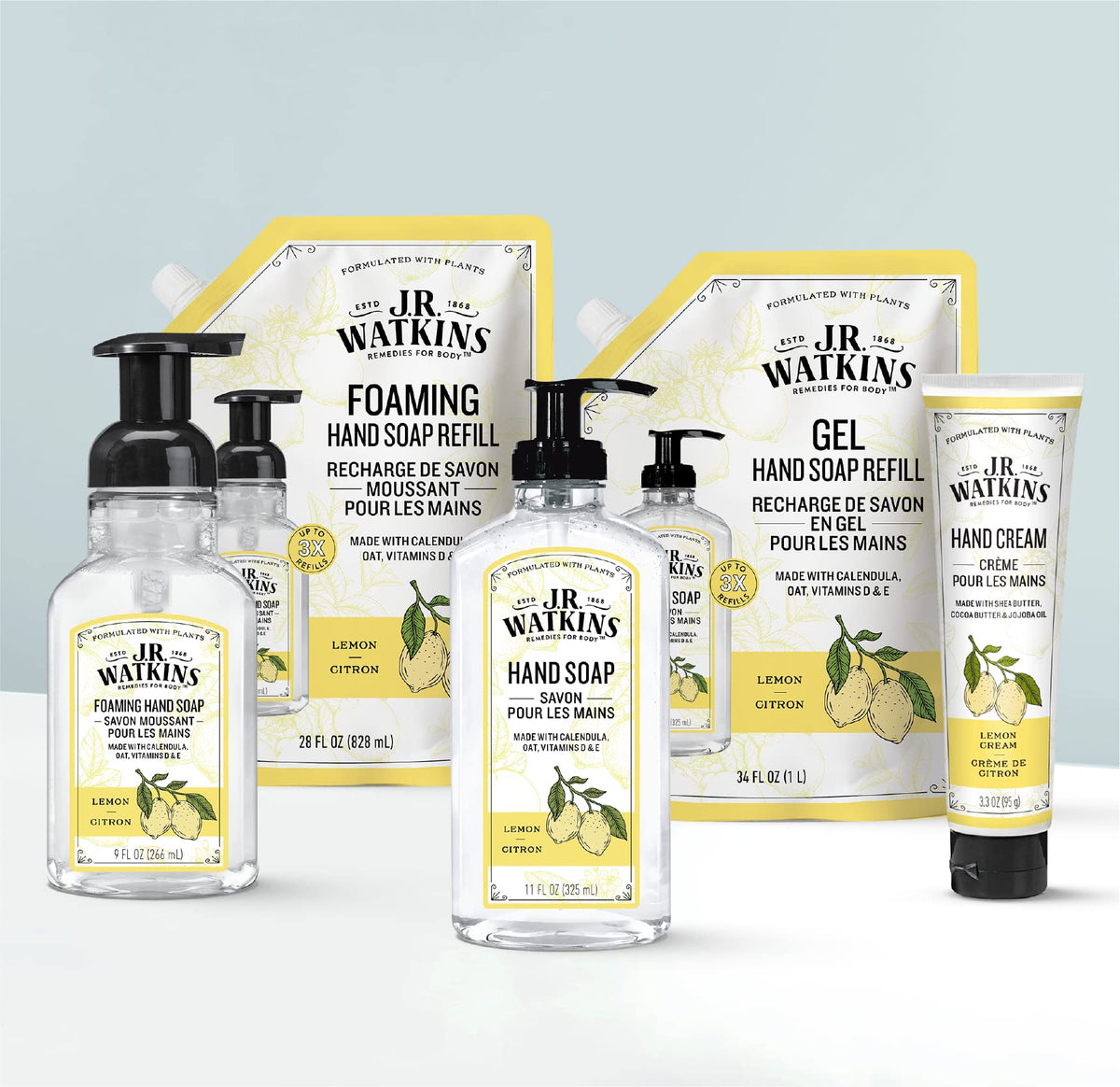 J.R. Watkins Foaming Hand Soap with Pump Dispenser, Moisturizing Foam Hand Wash, All Natural & Foaming Hand Soap with Pump Dispenser, Moisturizing Foam Hand Wash, All Natural