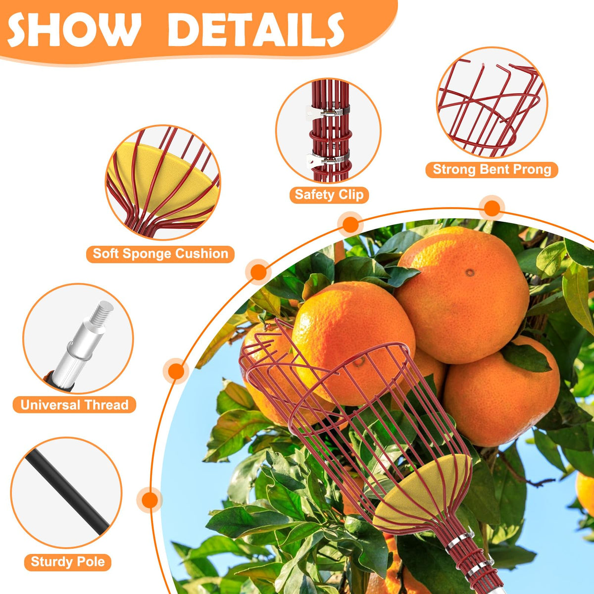SISIUPASSIE 26FT Reach Fruit Picker, Apple Picker Pole with Basket Telescoping Tool for Apple Lemon Orange Mango Avocado Fruit Tree Picking