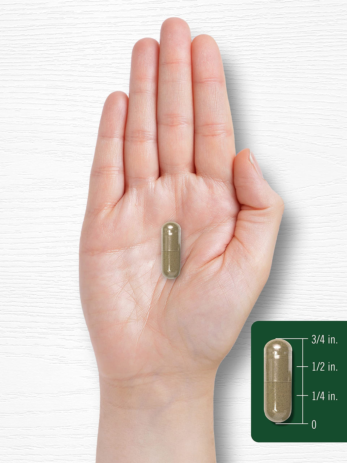 Carlyle Chanca Piedra Capsules | 500mg | 200 Count | Traditional Herb | Non-GMO and Gluten Free Supplement