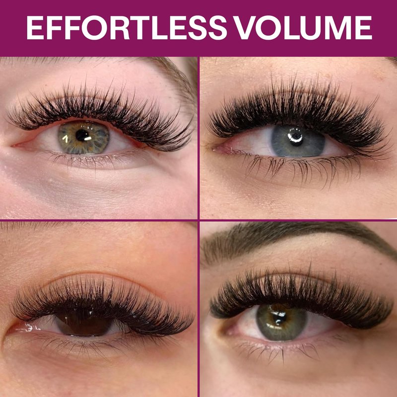 GLAMGAZE 800 Promade Fans 8-15mm Mixed Lengths - 5D to 16D, C CC D Curl, 0.05-0.07mm Thickness - Premade Lash Fans Volume Lash Extensions Loose Premade Fans Eyelash Extensions (16D-0.05-CC 8-15mm)