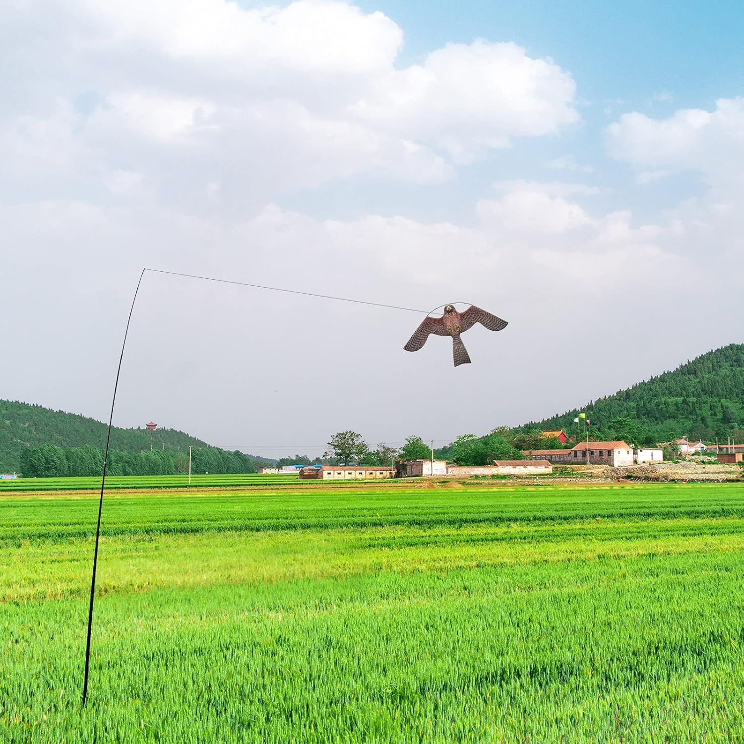 flyonte Bird Scare Flying Kite with 4m Pole Has The Effect of Scaring Birds