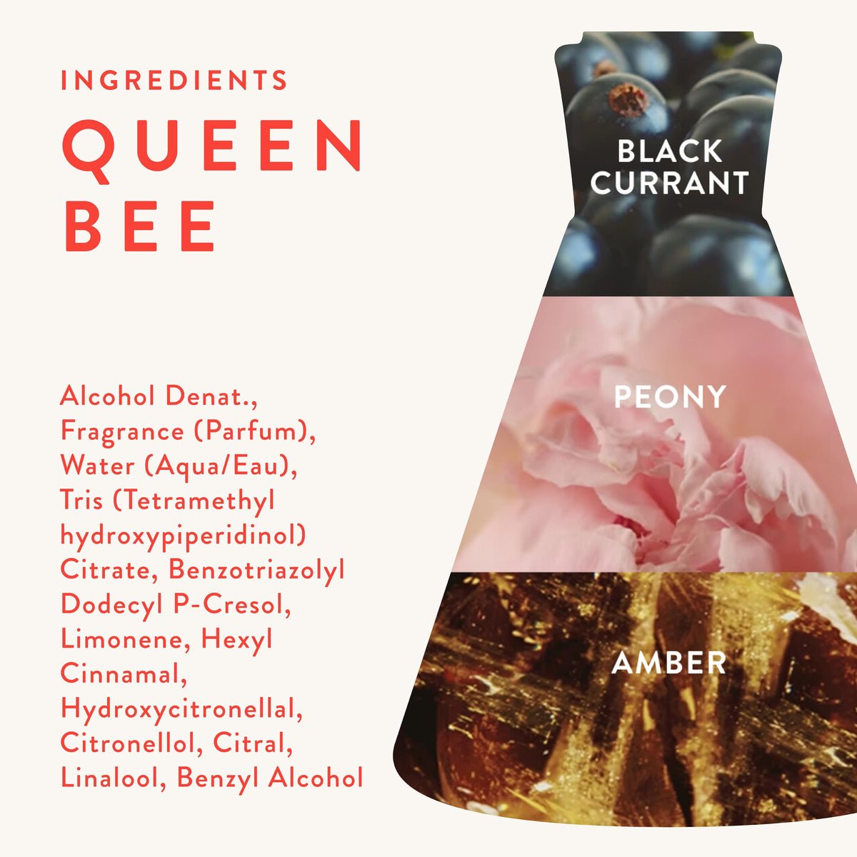 Good Chemistry Queen Bee Eau de Parfum 1.7 fl oz - Long-Lasting Perfume with Black Currant, Peony, & Amber - Bold, Clean & Vegan