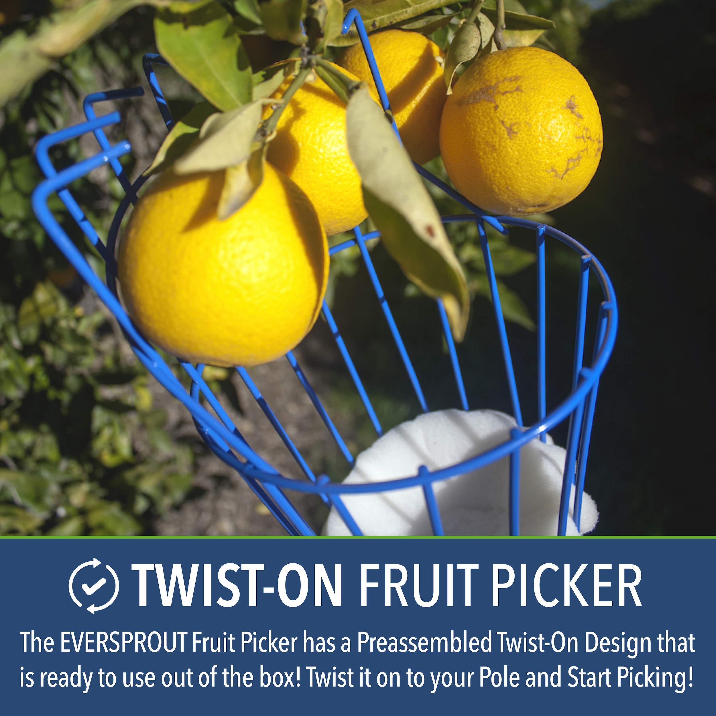 EVERSPROUT 4.5 to 12 Ft Fruit Picker with TwistOn Basket and Extension Pole