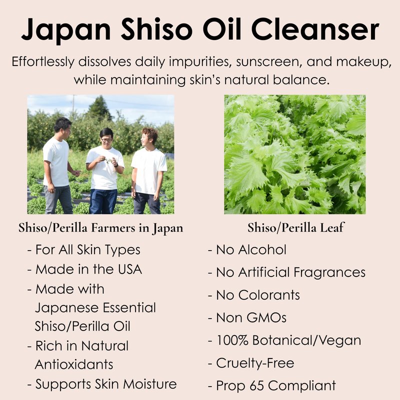 CARRÉ COSMETICS SHISO/PERILLA OIL CLEANSER with Japanese Shiso Oil, Gentle Makeup Remover (100mL/3.4oz)