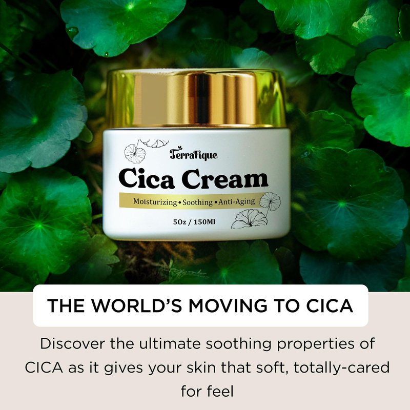 TERRAFIQUE Cica Cream for Women - Centella Asiatica Moisturizer - Anti Wrinkle Face Cream - Anti Aging, Hydrating, Moisturizing - 5 Oz / 150 Ml (3 Pack)