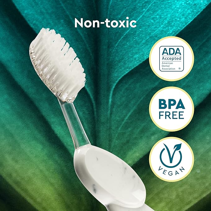 RADIUS Big Brush with Replaceable Head BPA Free & ADA Accepted Toothbrush Designed to Improve Gum Health & Reduce Gum Issues - Left Hand - Assorted - Pack of 6