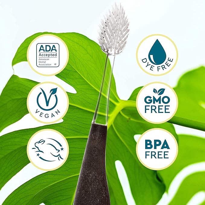 RADIUS Toothbrush Source Floss Brush BPA Free & ADA Accepted Improve Gum Health & Reduce Gum Issues - Medium - Cornstarch/Wood/Money - Pack of 3
