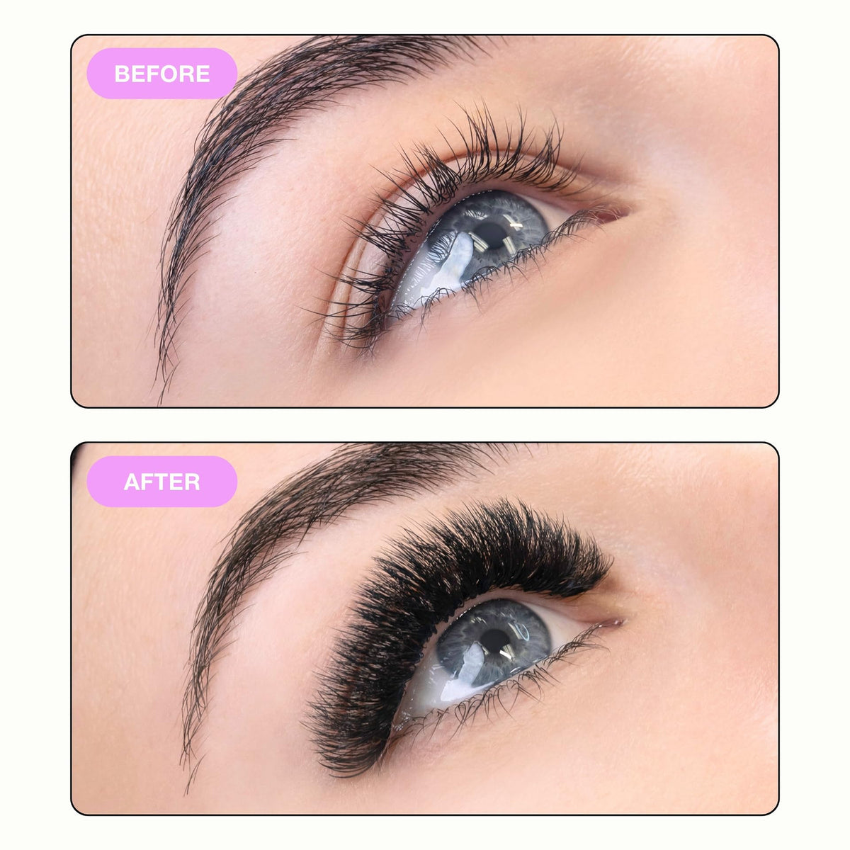 Curacoro LashFolio Narrow Promade Fans 10D-0.03 CC Curl 8-15mm