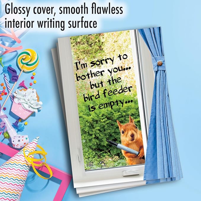 NobleWorks Pack of 3 Funny Birthday Greeting Cards with Envelopes (1 Design, 3 Each) Empty Bird Feeder C2561BDG-C3x1