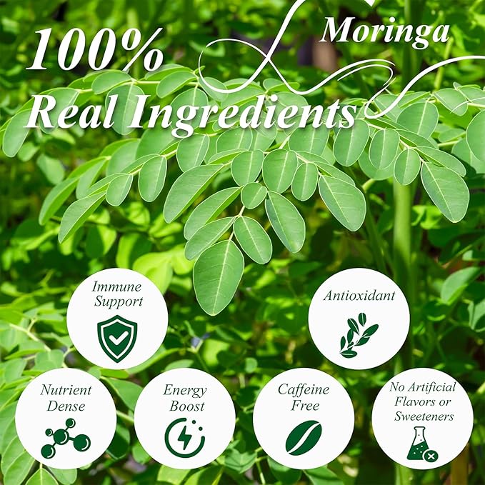 WT WEETEE Moringa Tea Bags 100 Count, 100% Pure Dried Moringa Leaves, Caffeine Free Nutrient-Dense Herbal Tea, Earthy Spinach Aroma & Bold Fermented Bean-Like Flavor