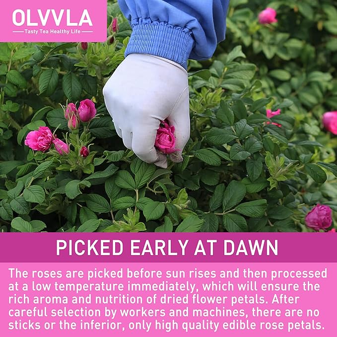 Olvvla - Dried Rose Petals - 0.91oz/26g - Premium Food Grade Dried Roses Edible Flowers - Perfect for Edible Rose Petal Tea, Decorations, Baking, Making Rose Water